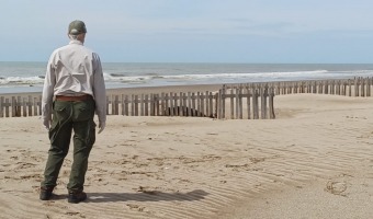 RESCATE DE UN ELEFANTE MARINO RECIN NACIDO EN LAS COSTAS GESELINAS